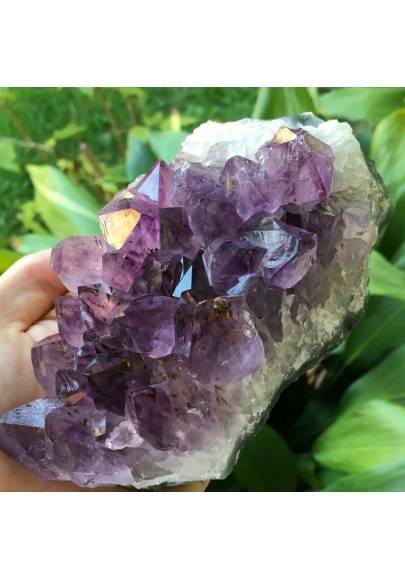 MINERALS * AMETHYST Crystal Geode Druzy Cluster URUGUAY Very High Quality-1