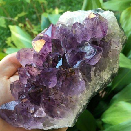 MINERALS * AMETHYST Crystal Geode Druzy Cluster URUGUAY Very High Quality-1
