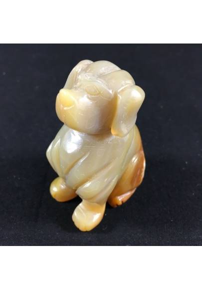CARNELIAN Crystal AGATE Dog Medium Size Animals Crystal Healing A+ Minerals Reiki-1