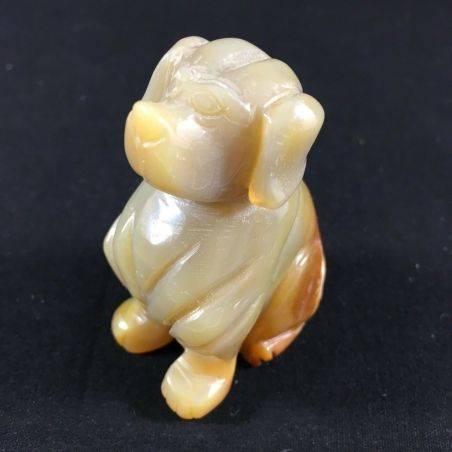 CARNELIAN Crystal AGATE Dog Medium Size Animals Crystal Healing A+ Minerals Reiki-1