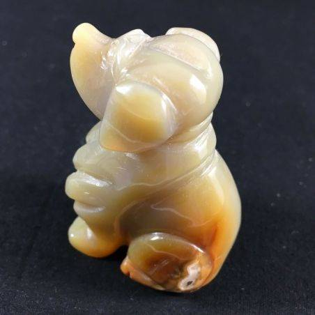 CARNELIAN Crystal AGATE Dog Medium Size Animals Crystal Healing A+ Minerals Reiki-3