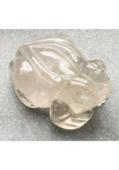 Frog in CALCITE MID Size Animals Crystal Healing Fengh Shui Specimen Craft-1