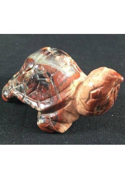 Tortue Grand dans JASPE Bréchique Meubles ANIMAUX Minéraux A+ Maison Reiki-1