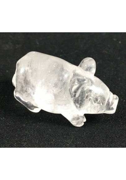 Pig in Hyaline Quartz Rock CRYSTAL Animals in Stone MINERALS Casa A+-1