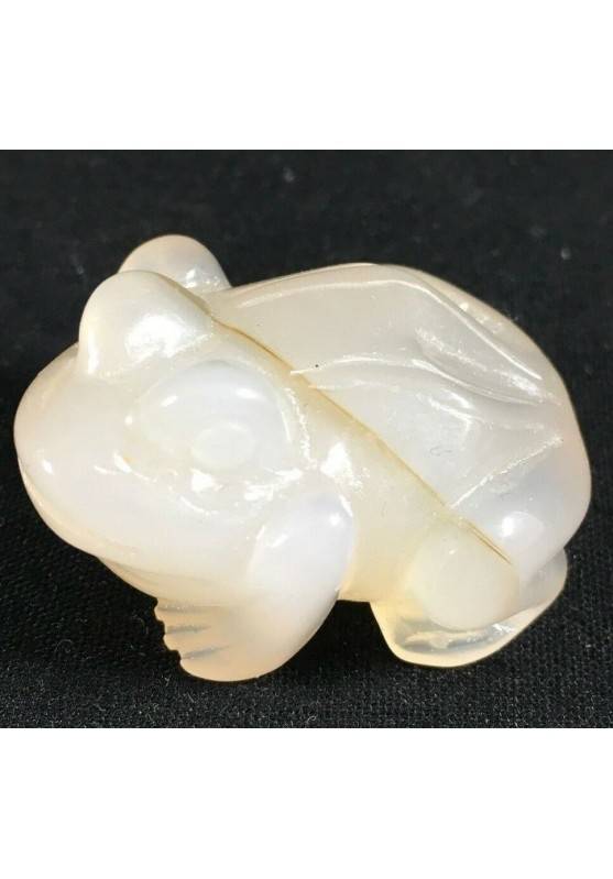 CARNELIAN Stone AGATE Crystal Frog Animals in Stone MINERALS High Quality Chakra Reiki-1