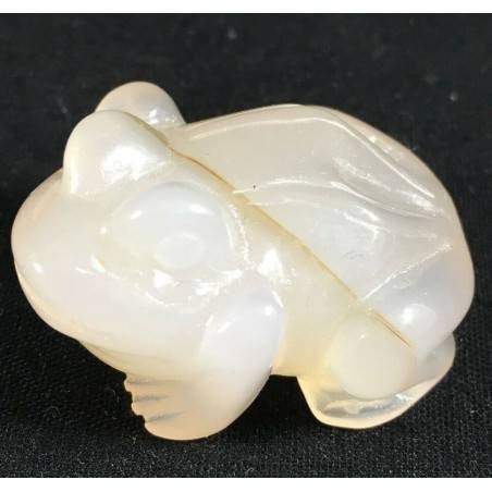 CARNELIAN Stone AGATE Crystal Frog Animals in Stone MINERALS High Quality Chakra Reiki-1