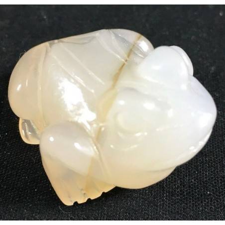 CARNELIAN Stone AGATE Crystal Frog Animals in Stone MINERALS High Quality Chakra Reiki-2