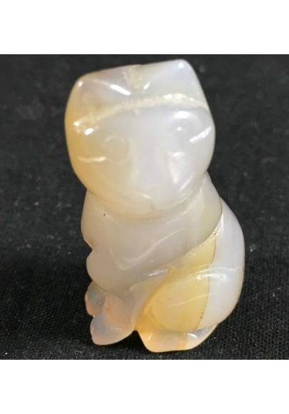 AGATE Crystal Cat Animals Stone MINERALS Chakra A+ High Quality Reiki-1