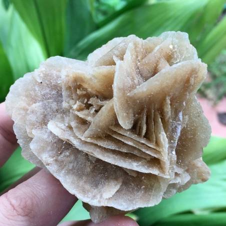 Selenite DESERT ROSE Sand Tunisia Minerals 139g 57x73mm Wonderful Reiki Chakra A+-2