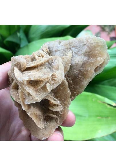 Selenite DESERT ROSE Sand Tunisia Minerals 157g 74x90mm Wonderful Reiki Chakra A+-1