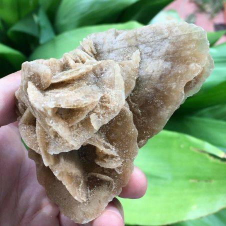 Selenite DESERT ROSE Sand Tunisia Minerals 157g 74x90mm Wonderful Reiki Chakra A+-1