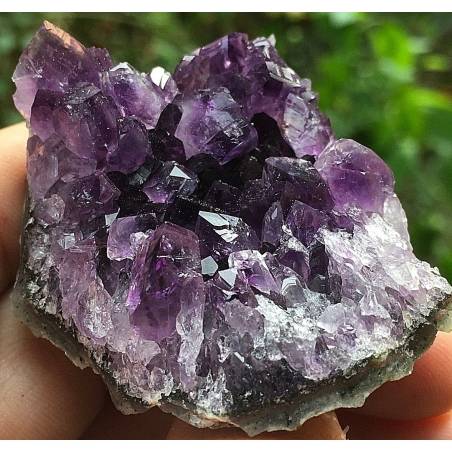 MINERALS * Uruguay AMETHYST DRUZY Purple Geode High Quality Chakra Reiki A+-2
