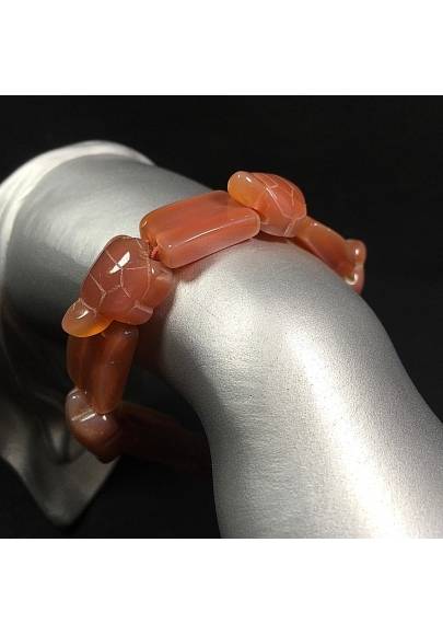 BRACELET dans Cornaline Tortues Pierre Naturel Bracelet Cristal thérapie-1