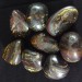 Iron TIGER Tumbled MINERALS High Quality A+ [ Tumbled Tiger Iron MINERALS-1