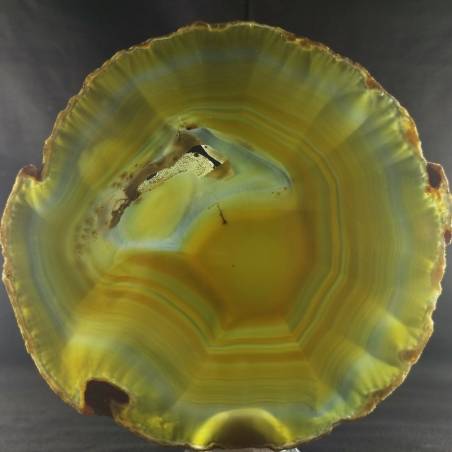 MINERALS * Beautiful Brown Carnelian Agate Slice Crystal Healing Chakra A+-2