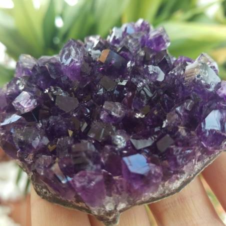 * Minéraux * DRUSE Améthyste CM. 8x4 x 7,3 x 3,1 BLEU - Violet URUGUAY AMETHYST A+-4