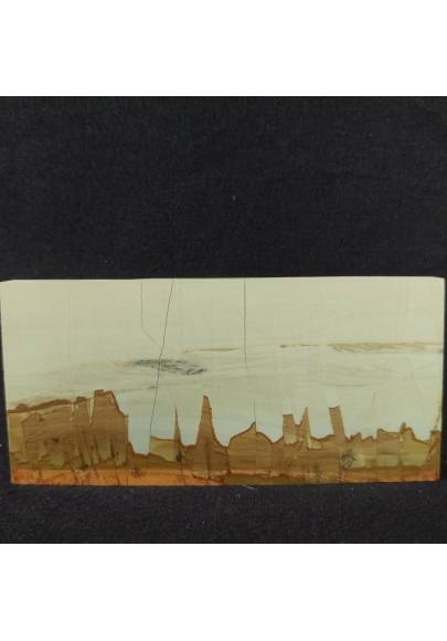 Pietra PAESINA di Firenze cm 7,2 PICTURE STONES Best Quality Super High Quality +-1