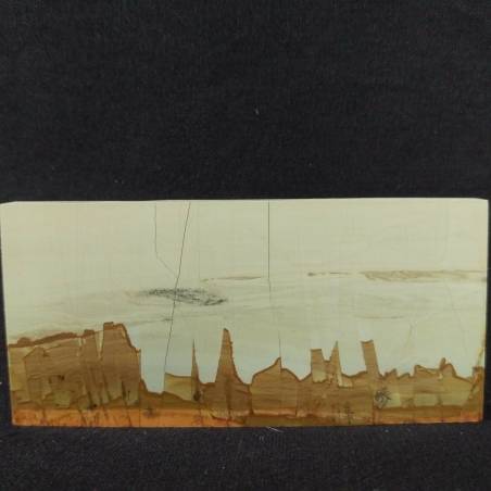 Pietra PAESINA di Firenze cm 7,2 PICTURE STONES Best Quality Super High Quality +-1
