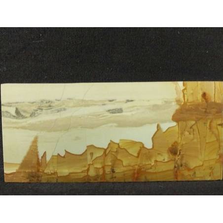 Pietra PAESINA di Firenze cm 7,2 PICTURE STONES of Florence Best Quality +-2