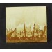PIEDRA PAISINA de Florencia CM7,0 PICTURE STONES Miglior Calidad BEST HIGH QUALITY-3