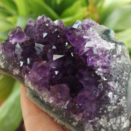MINERALS °°° AMETHYST Druzy Cluster Dark Purple VERY HIGH QUALITY Uruguay Druzy-2