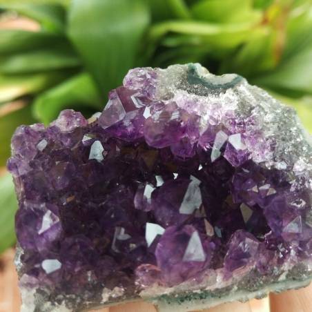 MINERALS °°° AMETHYST Druzy Cluster Dark Purple VERY HIGH QUALITY Uruguay Druzy-3