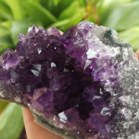 MINERALS °°° AMETHYST Druzy Cluster Dark Purple VERY HIGH QUALITY Uruguay Druzy-4