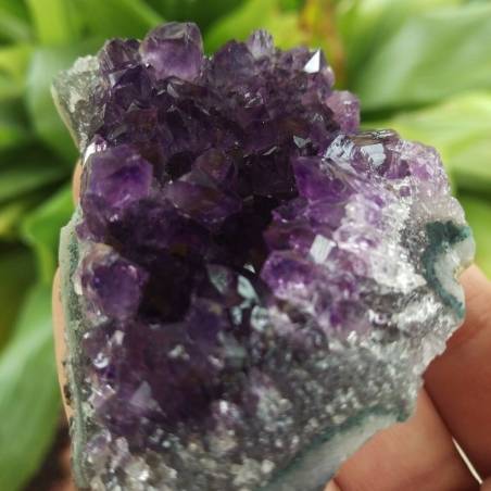 MINERALS °°° AMETHYST Druzy Cluster Dark Purple VERY HIGH QUALITY Uruguay Druzy-5