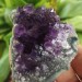 MINERALS °°° AMETHYST Druzy Cluster Dark Purple VERY HIGH QUALITY Uruguay Druzy-5