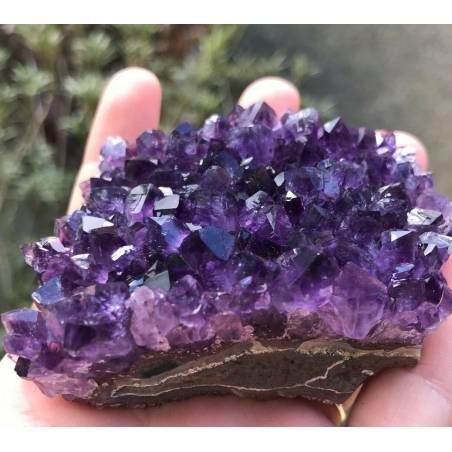 SEMI GEODE AMETHYST Hedgehog CM.8 x 5,5 x 3,8 URUGUAY VERY HIGH QUALITY MINERALS-2