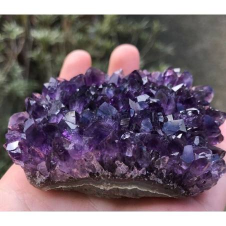 SEMI GEODE AMETHYST Hedgehog CM.8 x 5,5 x 3,8 URUGUAY VERY HIGH QUALITY MINERALS-4