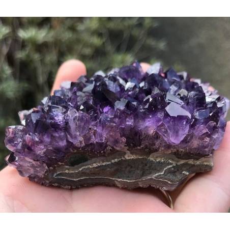 SEMI GEODE AMETHYST Hedgehog CM.8 x 5,5 x 3,8 URUGUAY VERY HIGH QUALITY MINERALS-5