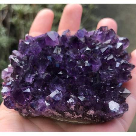 SEMI GEODE AMETHYST Hedgehog CM.8 x 5,5 x 3,8 URUGUAY VERY HIGH QUALITY MINERALS-6
