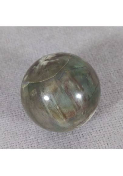 Sphere in Fossil Petrified Wood Rare Crystal Healing Massage MINERALS Crystals Chakra-1