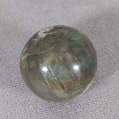 Sphere in Fossil Petrified Wood Rare Crystal Healing Massage MINERALS Crystals Chakra-1