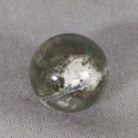 Sphere in Fossil Petrified Wood Rare Crystal Healing Massage MINERALS Crystals Chakra-2