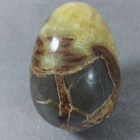 Egg in Septarian Polished Crystal Healing Crystals Pasqua Ovale MINERALS Reiki-3