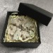 Geode PLATINO in AQUA AURA + Scatola Quarzo Ialino Brillante Cristallo di Rocca-3