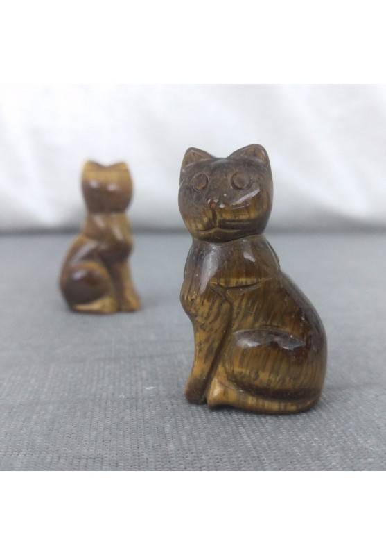 TIGER'S EYE Cat Home Animals Crystal Healing Minerals Polished Reiki-1