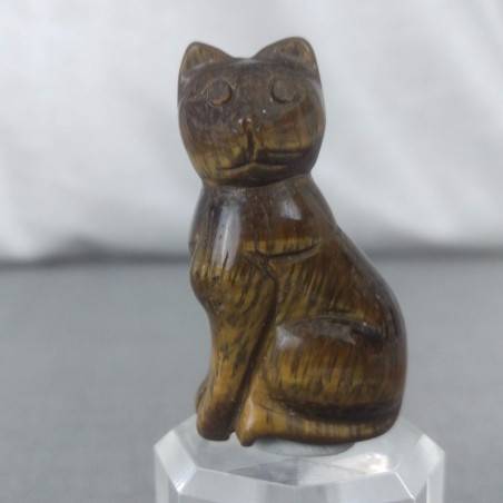 TIGER'S EYE Cat Home Animals Crystal Healing Minerals Polished Reiki-3