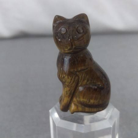 TIGER'S EYE Cat Home Animals Crystal Healing Minerals Polished Reiki-5