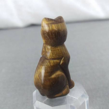 TIGER'S EYE Cat Home Animals Crystal Healing Minerals Polished Reiki-6