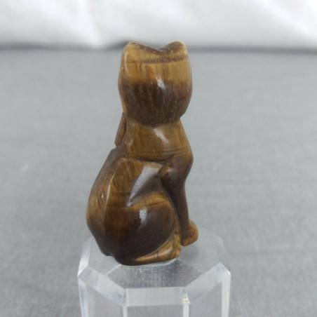 TIGER'S EYE Cat Home Animals Crystal Healing Minerals Polished Reiki-7