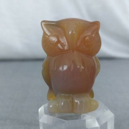 Owl in CARNELIAN Home Animals Crystal Healing MINERALS Polished Feng Shui Zen-2