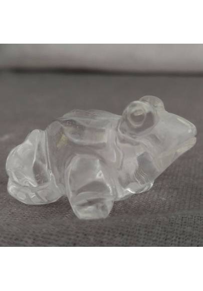 Frog in Hyaline Quartz o Rock CRYSTAL Animals Chakra Buddha MINERALS-1