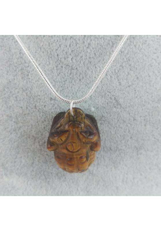 Pendentif Grenouille dans Oeil du Tigre Collier Cristal thérapie Zen Fengh Shui Crapaud-1