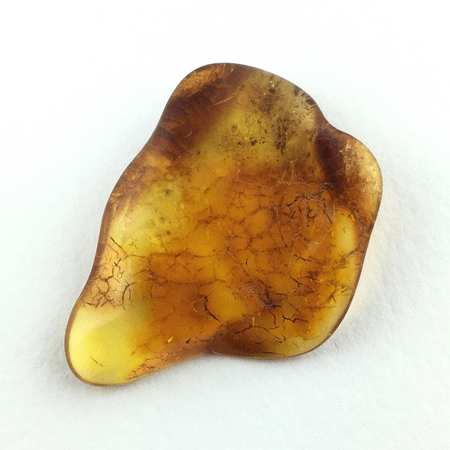 AMBER